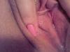 amante