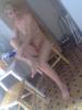 nicoll