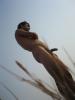 nudisti
