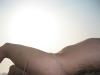 nudisti